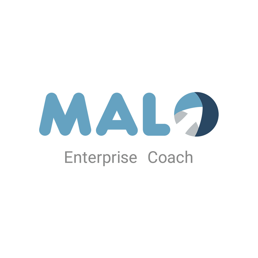  https://malo.coach/#methode